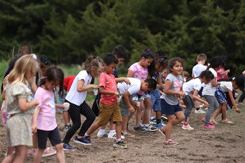 Lincoln Elementary students planting milkweed flowers outside